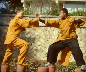 Online Classes - Martial Arts Training & Classes by Kung fu Master ...