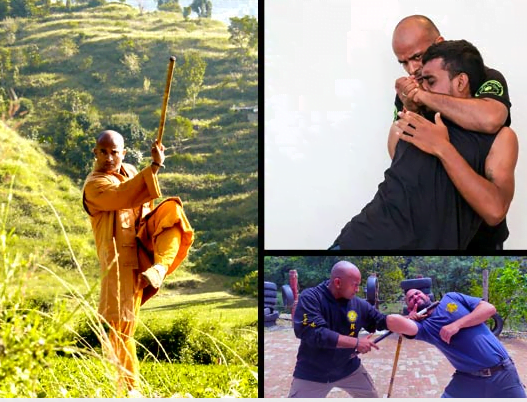 Online Classes - Martial Arts Training & Classes by Kung fu Master ...