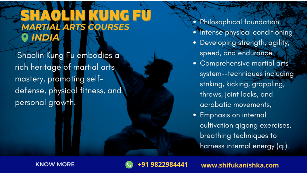 Shaolin Kung Fu